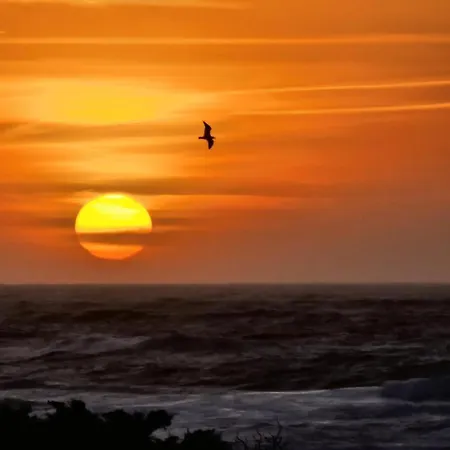 Apartmán Befree La Ciaccia *