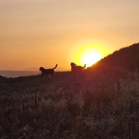 Apartmán Befree La Ciaccia *